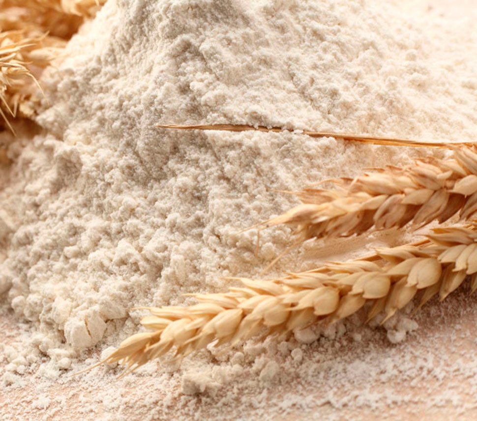 Italian Ancient Grain Flour (Includes Shipping)