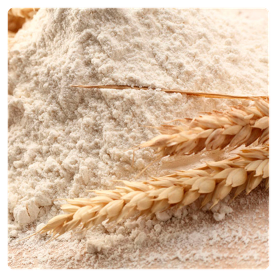 Freshly Milled Ancient Grain Italian Flour
